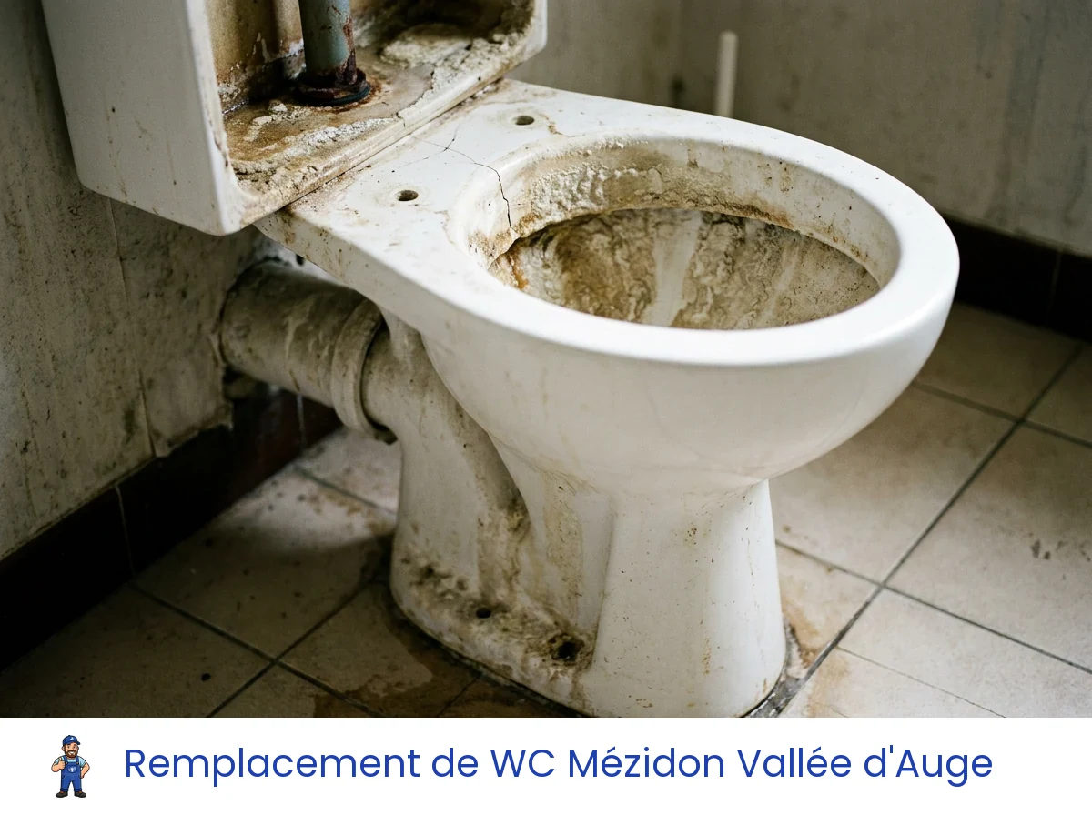 Remplacement de WC à Mézidon Vallée d'Auge